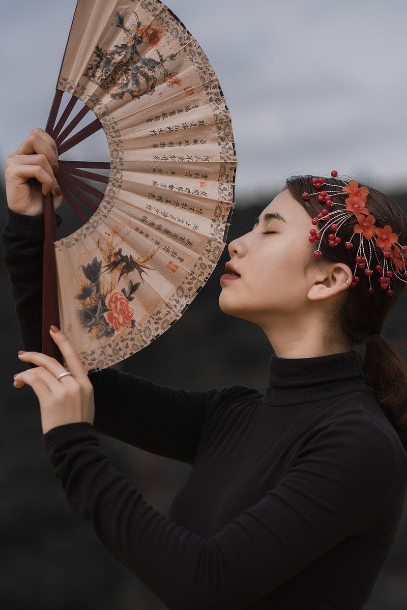 Tai Chi Fan
